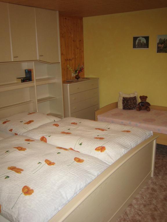 Apartment Schlafwandler Steinigtwolmsdorf Номер фото